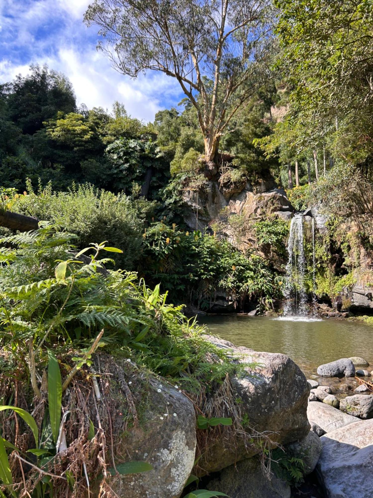 Eco Surflodge Azores Ribeira Grande Eksteriør bilde